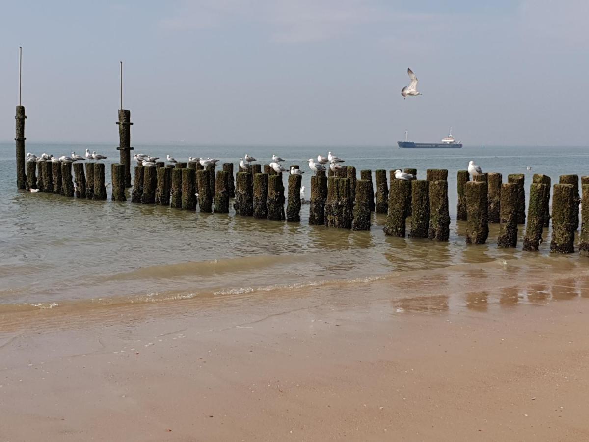 Rijksmonument Havenzicht, Met Zeezicht, Ligging Direct Aan Zee En Centrum فليسينْخين المظهر الخارجي الصورة